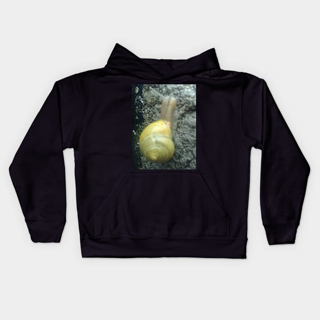 Snail trail Kids Hoodie by cjeff13